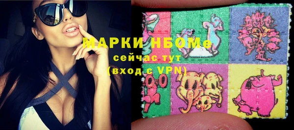 2c-b Горно-Алтайск